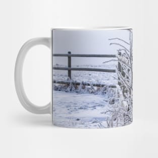 Winter Wonderland in -30C Mug